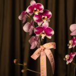 Maceta de orquídea - Image 2